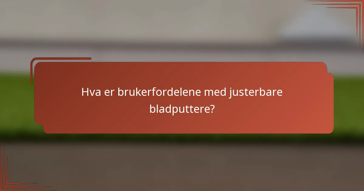 Hva er brukerfordelene med justerbare bladputtere?