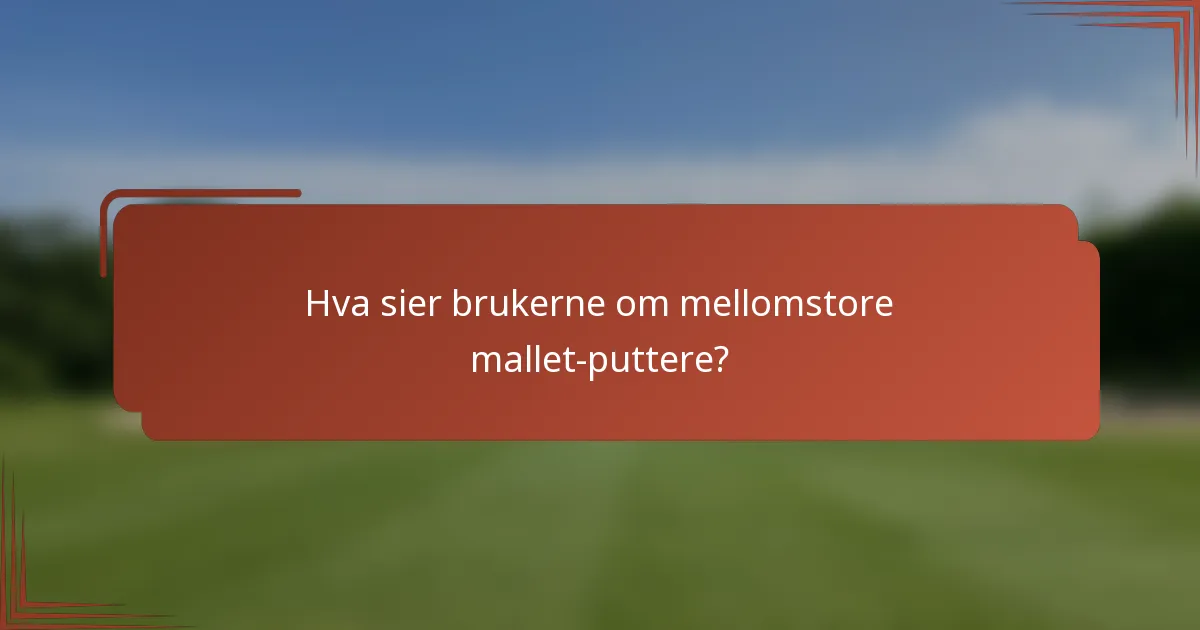 Hva sier brukerne om mellomstore mallet-puttere?
