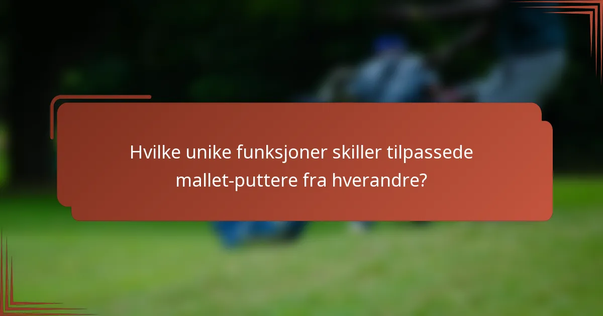 Hvilke unike funksjoner skiller tilpassede mallet-puttere fra hverandre?